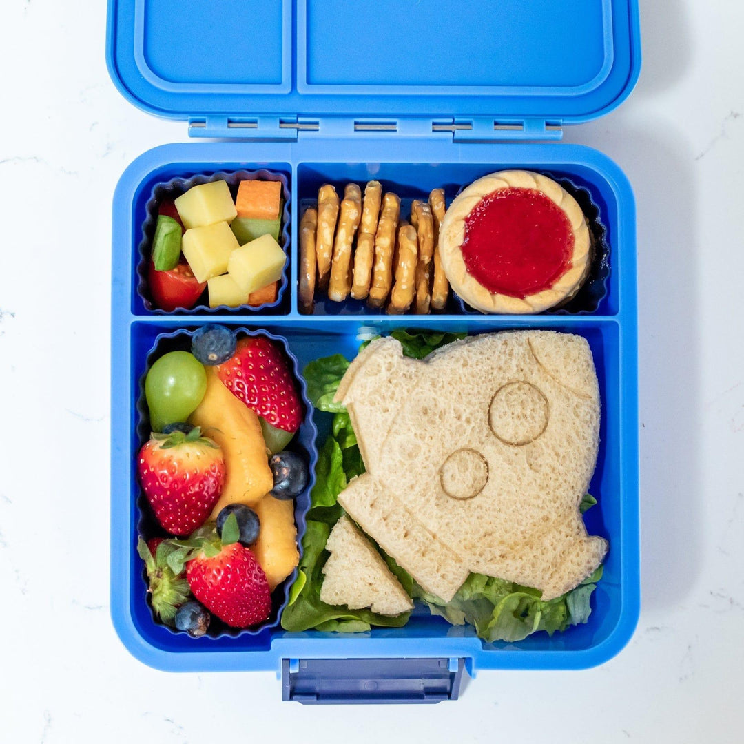 Montii Co Lunch Box MONTII.CO Little Lunch Box Co | Bento Three - Blueberry