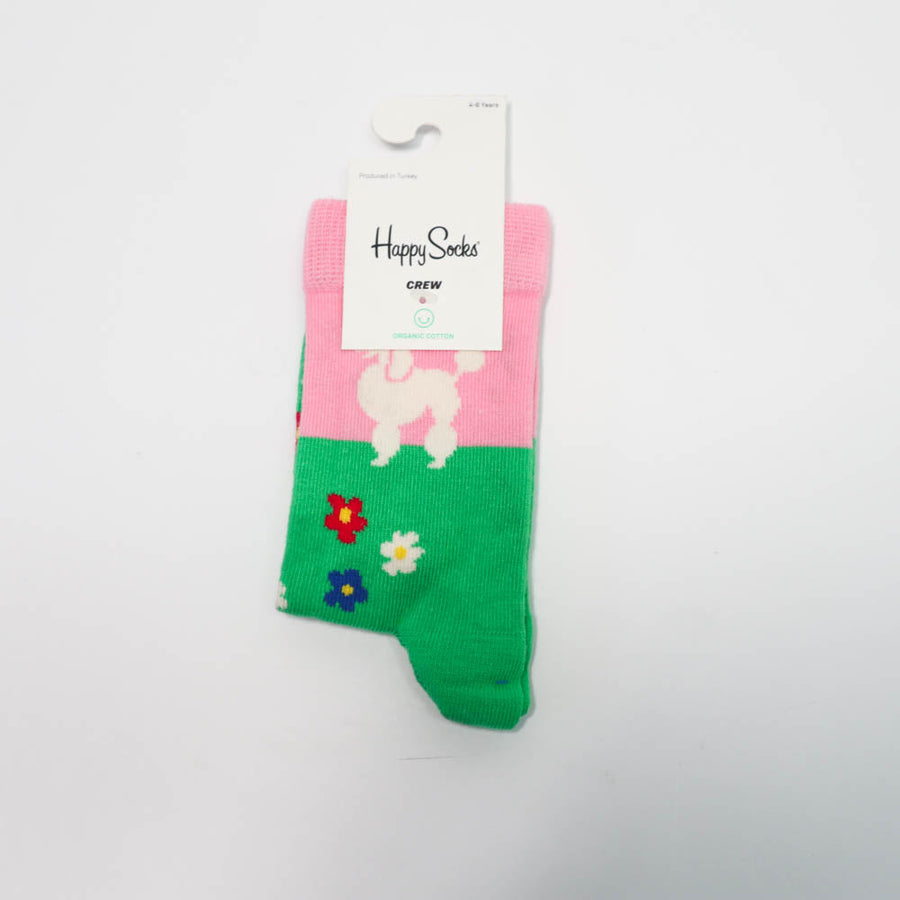 Happy Socks Socks Grass&Dog 46Y