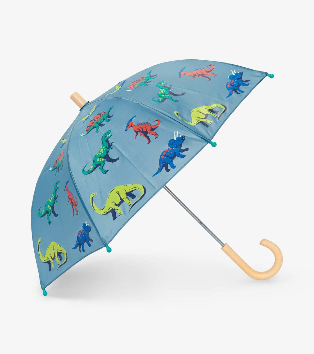 Hatley Hatley Dangerous Dinos Umbrella